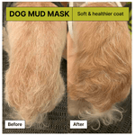 Relief Mud Mask For Dogs 1000ml - BRMUD US OfficialPet CareBRMUD US Official