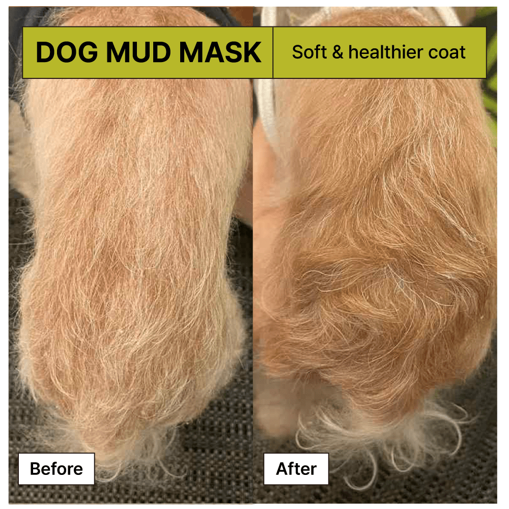 Relief Mud Mask For Dogs 1000ml - BRMUD US OfficialPet CareBRMUD US Official