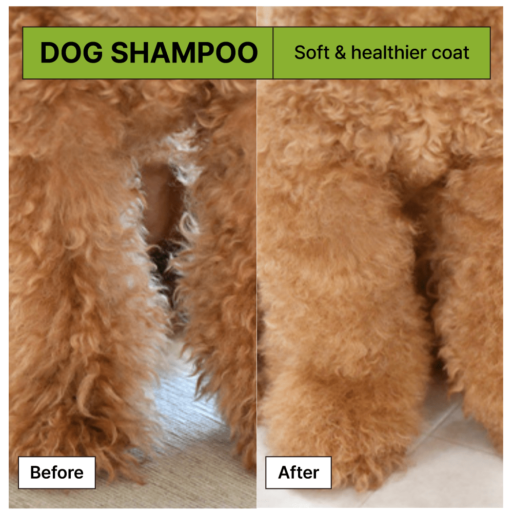 Relief Mud Shampoo For Dogs 500ml - BRMUD US OfficialPet CareBRMUD US Official