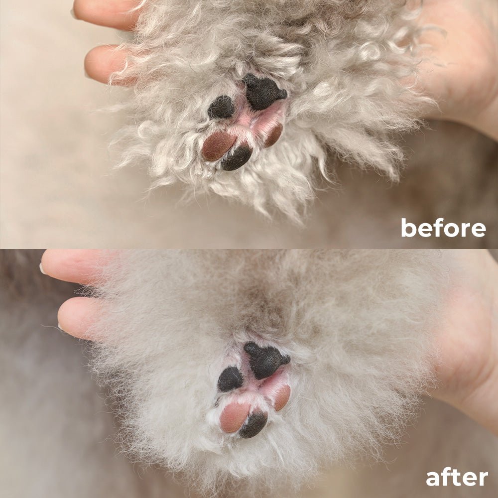 Relief Mud Shampoo For Dogs - BRMUD US OfficialPet CareBRMUD US Official